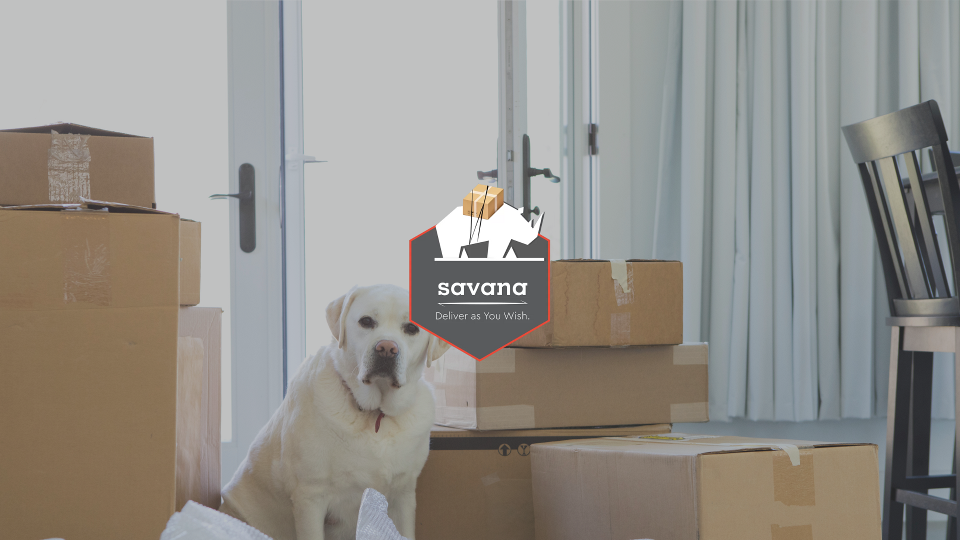 εύκολη μετακόμιση