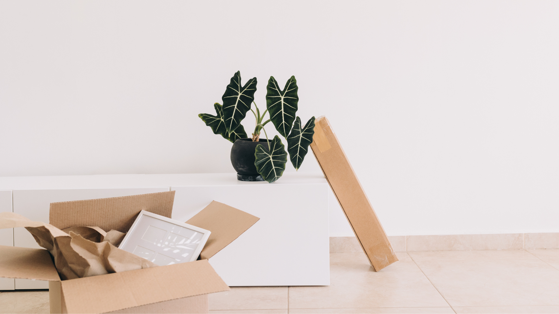 Μετακόμιση συμβουλές